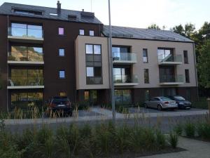 Realisation-les-chassis-noel-26